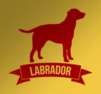 Muursticker Labrador Muursticker Labrador