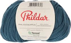 Phildar Phil Eucalyptus 2089 Prusse