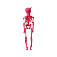 Halloween Decoraties 40 cm Roze Skelet