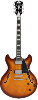 D&apos;angelico Premier DC Dark Iced Tea Burst
