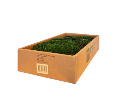 MOSS concepts bolmos mosgroen 300 gram