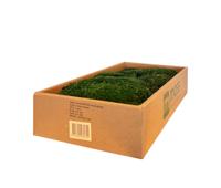 MOSS concepts bolmos mosgroen 300 gram