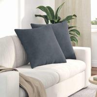 VidaXL Sofa kussens 2 stuks donkergrijs 60 x 60 cm cordstof