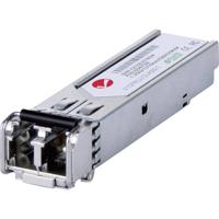 Intellinet 506724 Transceiver SFP-transceivermodule 1 GBit/s Intellinet 506724 Transceiver SFP-transceivermodule 1 GBit/s