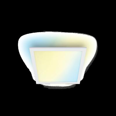 WiZ PlafonnièrePanel wit - 12W - 929003241801