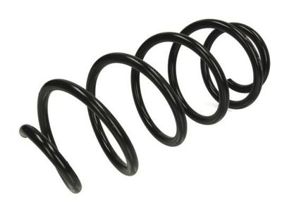 Chassisveer SW119MT