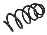 Chassisveer SW119MT