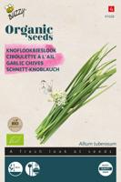 Organic Bieslook Knoflook (BIO) - Buzzy