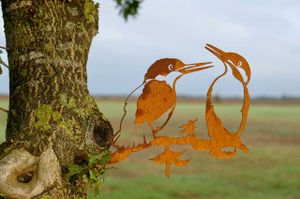 Geluksvogel IJsvogel - Kingfisher paartje