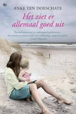 Het ziet er allemaal goed uit (Paperback)