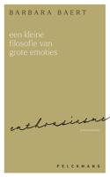 Een kleine filosofie van grote emoties: Enthousiasme - Barbara Baert - ebook