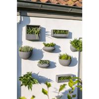 Hangpot Peter Wally M Grey