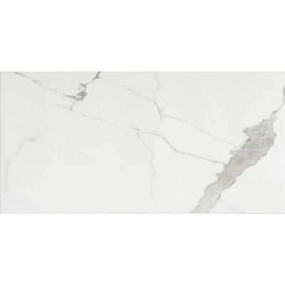 Florim Timeless 744884 Vloertegel 600X1200 Calacatta 9Mm Glans Ret.