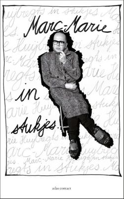 In stukjes - Marc-Marie Huijbregts - ebook