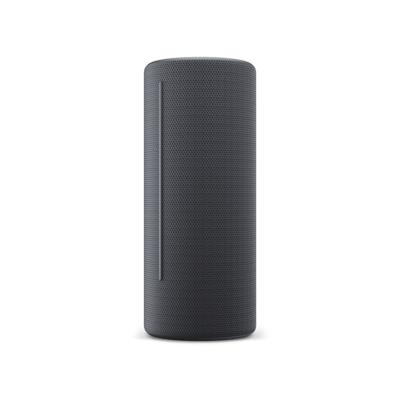 Loewe Grijs Bluetooth luidspreker