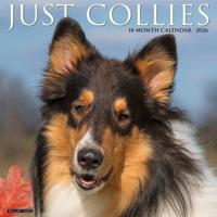 Collie - Schotse Herder Kalender 2026