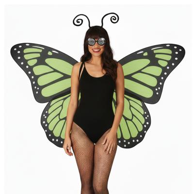 Verkleed vlinder set - groen - voor dames - Carnavalskleding/accessoires