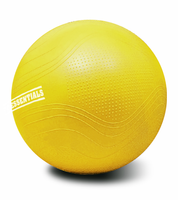 PTessentials SALE - Gymball PRO V2 - Swiss Ball - 55, 65 of 75 cm