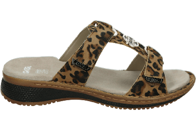 Ara 1229003 - alle