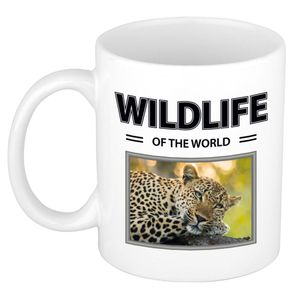 Luipaard mok met dieren foto wildlife of the world