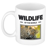 Luipaard mok met dieren foto wildlife of the world - thumbnail