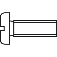 TOOLCRAFT 888673 Cilinderschroeven M2 5 mm Sleuf DIN 84 Staal Verzinkt 1 stuk(s) - thumbnail
