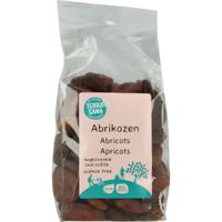 Terrasana RAW Abrikozen ongezwaveld bio
