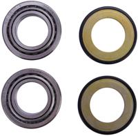 ALL BALLS Racing balhoofd lagerset steering head bearing set 22-1003 with simmerrings