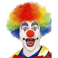 Regenboog clown verkleed pruik voor volwassenen - thumbnail
