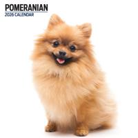 Pomeranian Modern Kalender 2026 Pomeranian Modern Kalender 2026