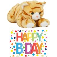Cadeau setje pluche rood/witte kat/poes knuffel 25 cm met Happy Birthday wenskaart - thumbnail