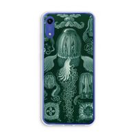 Haeckel Cubomedusae: Honor Play 8A Transparant Hoesje