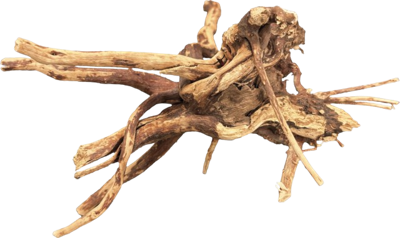 BioArt Spiderwood 10-15 cm