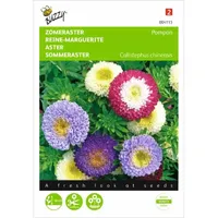 Callistephus, Zomeraster Pompon gemengd