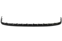 Plaat, bumper 6502079539973P