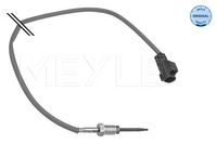 Sensor, uitlaatgastemperatuur 7148000034