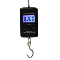 10g mini digitale vissen schaal reizen weging Stalhof opknoping elektronische haak schaal keuken gewicht tool capaciteit: 40kg met backlight
