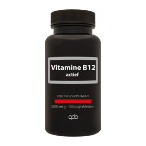 Apb Holland vit b 12 actief zuigt 2000mcg