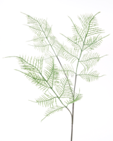 (Best) Asparagus spray green 80 cm kunstbloem Erutan Avon - Erutan avon