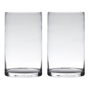 Set van 2x stuks transparante home-basics cylinder vorm vaas/vazen van glas 30 x 15 cm