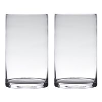 Set van 2x stuks transparante home-basics cylinder vorm vaas/vazen van glas 30 x 15 cm