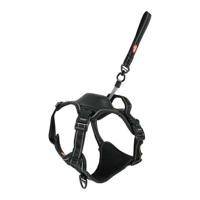 ZOLUX EASYRIDE HONDENTUIG ZWART