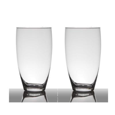 Set van 2x stuks vaas - transparant - 25 x 14 cm - glas - home-basics - vazen - bloemenvaas