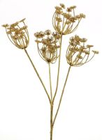 X&apos;mas queen anne lace spray gold 68cm