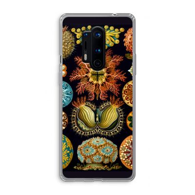 Haeckel Ascidiae: OnePlus 8 Pro Transparant Hoesje