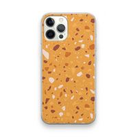 Terrazzo N°24: iPhone 12 Pro Max Transparant Hoesje