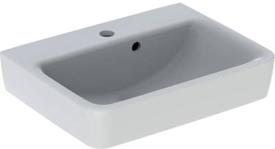 Geberit Renova Plan Fontein 50x38x16,5 cm 1 Kraangat Met Overloop Wit