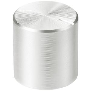 TRU COMPONENTS TC-11613912 Draaiknop Met knopmarkering Zilver (Ø x h) 13 mm x 13 mm Aluminium, Plastic 1 stuk(s)