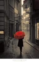 Kunstdruk Stefano Corso - Red Rain 61x96cm