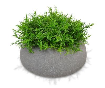 Senecio kunstplant 15cm